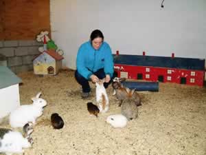 Back to Rabbit World
