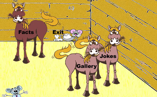 Horse Stables